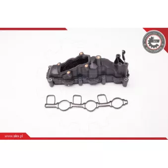Module de tube d'admission ESEN SKV 96SKV018