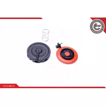 Séparateur d'huile, prise de recyclage des gas de carter ESEN SKV 96SKV056