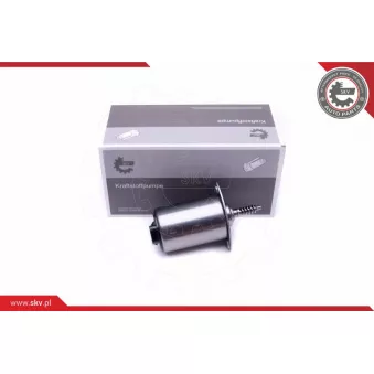 Actuateur, arbre excentrique (levée variable) ESEN SKV 96SKV089