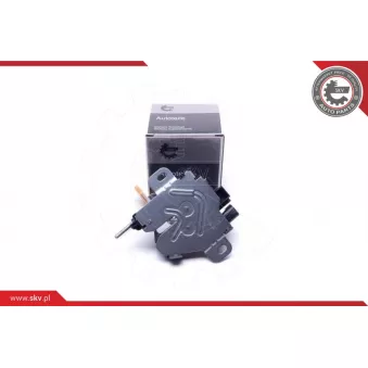 Poignée de porte ESEN SKV 96SKV165