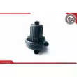 Pompe d'injection d'air secondaire ESEN SKV 96SKV200 - Visuel 2