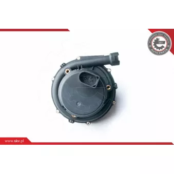 Pompe d'injection d'air secondaire ESEN SKV 96SKV201
