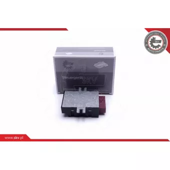 Dispositif de controle, pompe à carburant ESEN SKV 96SKV209