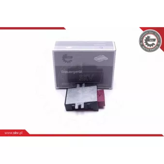 Dispositif de controle, pompe à carburant ESEN SKV 96SKV211