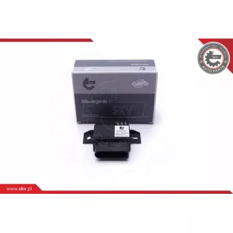 Dispositif de controle, pompe à carburant ESEN SKV