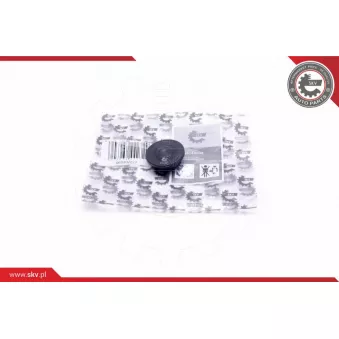 Kit de réparation, ventilation du carter-moteur ESEN SKV 96SKV222