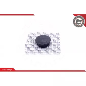 Kit de réparation, ventilation du carter-moteur ESEN SKV 96SKV223