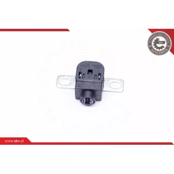 Capteur, Gestion des batteries ESEN SKV 96SKV300
