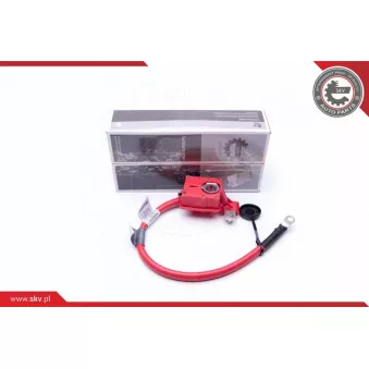 Adaptateur de batterie ESEN SKV 96SKV302