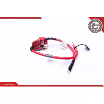 Adaptateur de batterie ESEN SKV 96SKV303