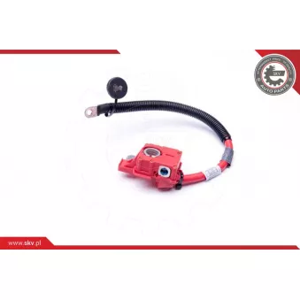 Adaptateur de batterie ESEN SKV 96SKV304