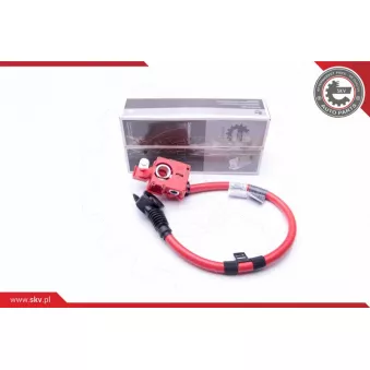 Adaptateur de batterie ESEN SKV 96SKV306