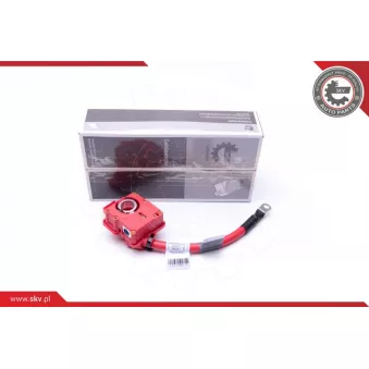 Adaptateur de batterie ESEN SKV 96SKV309