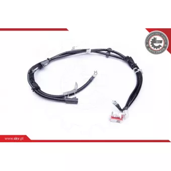 Adaptateur de batterie ESEN SKV 96SKV310