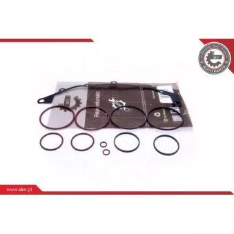 Kit de réparation, module de tube d'aspiration ESEN SKV