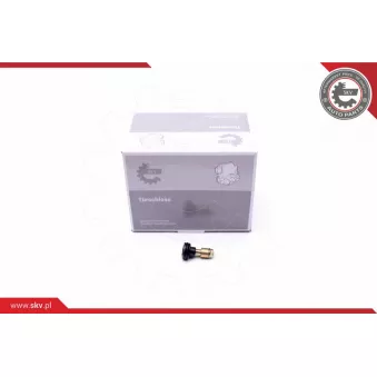 Guidage à galets, porte coulissante ESEN SKV 96SKV730