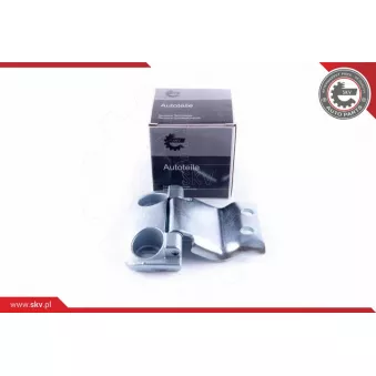 Charnière de porte ESEN SKV 96SKV760