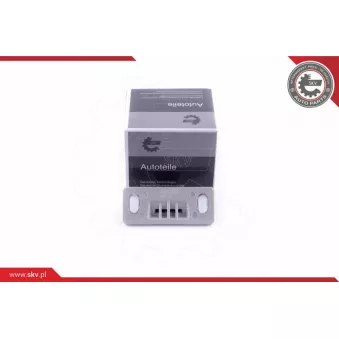 Guidage, bouton de verrouillage ESEN SKV 96SKV768