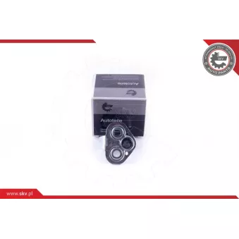Cale-porte ESEN SKV 96SKV769