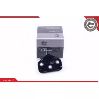 Cale-porte ESEN SKV 96SKV770