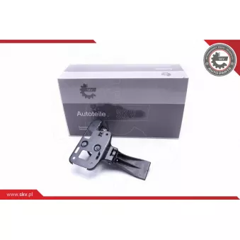 Bouton de verrouillage ESEN SKV 96SKV780