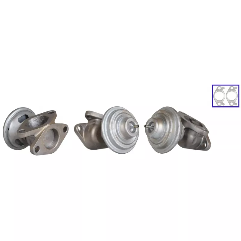Vanne EGR DRI 717710245
