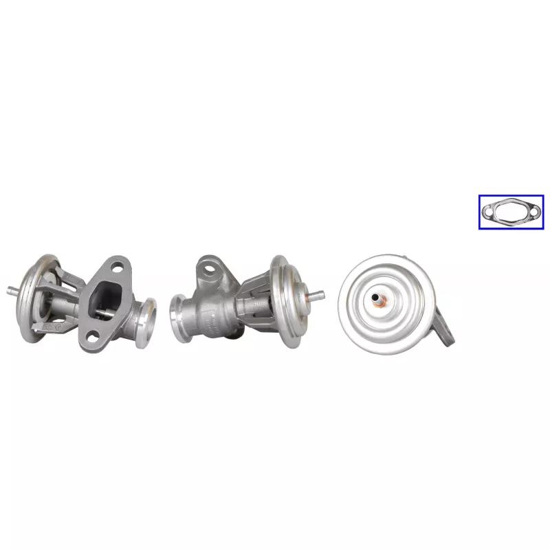 Vanne EGR DRI 717710274