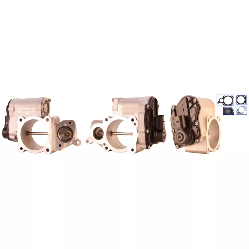 Vanne EGR DRI 717730170