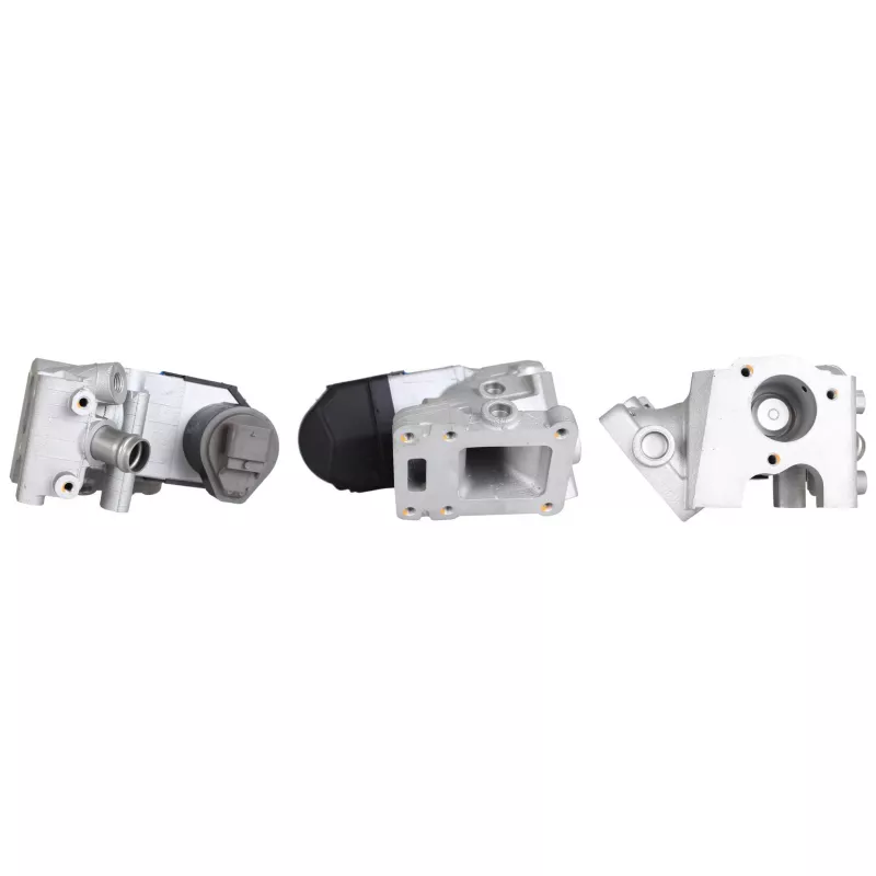 Vanne EGR DRI 717730299