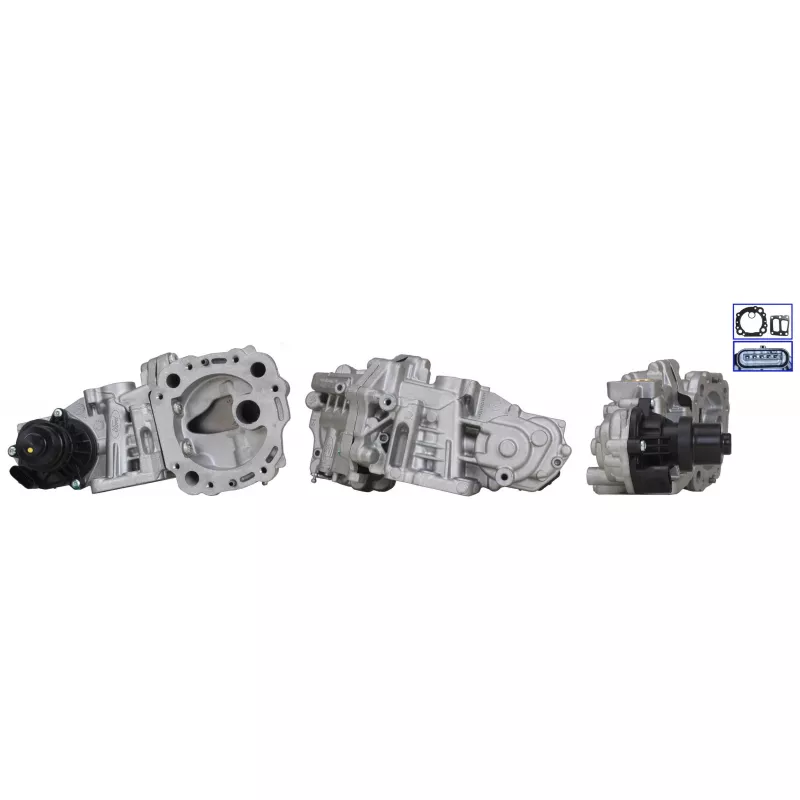 Vanne EGR DRI 717730373