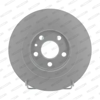 Jeu de 2 disques de frein arrière FERODO DDF1181C