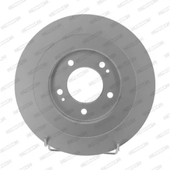Jeu de 2 disques de frein arrière FERODO DDF2201C