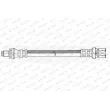 Flexible de frein FERODO FHY2459 - Visuel 2