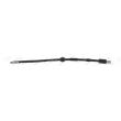 Flexible de frein FERODO FHY2484 - Visuel 1