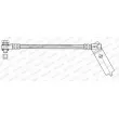 Flexible de frein FERODO FHY2568 - Visuel 2