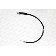 Flexible de frein FERODO FHY2842 - Visuel 2
