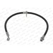 Flexible de frein FERODO FHY3189 - Visuel 1