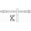 Flexible de frein FERODO FHY3251 - Visuel 2