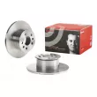 Jeu de 2 disques de frein avant BREMBO 08.2536.10 - Visuel 1