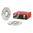 Jeu de 2 disques de frein avant BREMBO 08.3067.20 - Visuel 1