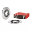 Jeu de 2 disques de frein arrière BREMBO 08.3910.10 - Visuel 1