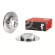 Jeu de 2 disques de frein avant BREMBO 08.4932.10 - Visuel 1