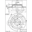 Jeu de 2 disques de frein arrière BREMBO 08.5295.20 - Visuel 2