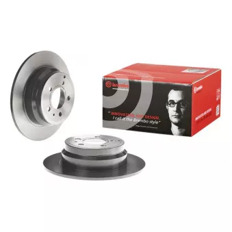 Jeu de 2 disques de frein arrière BREMBO 08.5569.21
