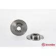 Jeu de 2 disques de frein avant BREMBO 08.5876.10 - Visuel 1