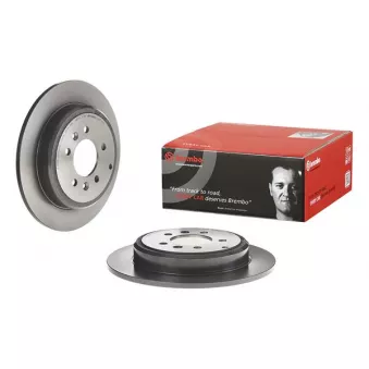 Jeu de 2 disques de frein arrière BREMBO 08.7716.21