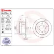 Jeu de 2 disques de frein arrière BREMBO 08.7724.10 - Visuel 2