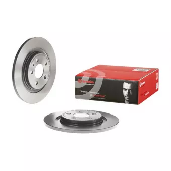 Jeu de 2 disques de frein arrière BREMBO 08.7955.11