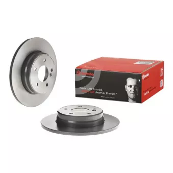 Jeu de 2 disques de frein arrière BREMBO 08.9175.11