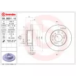 Jeu de 2 disques de frein avant BREMBO 08.9601.14 - Visuel 2